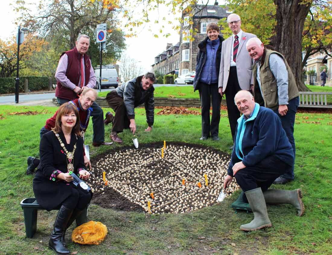 he Mayor of the Borough of Harrogate, Councillor Anne Jones (second from left), joined local members of the United Grand Lodge of England and Harrogate Borough Council’s Parks team to plant the bulbs on Well Hill in Harrogate