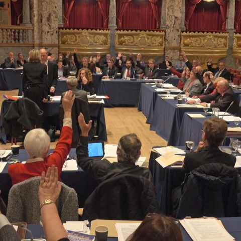 Harrogate Borough Council full council