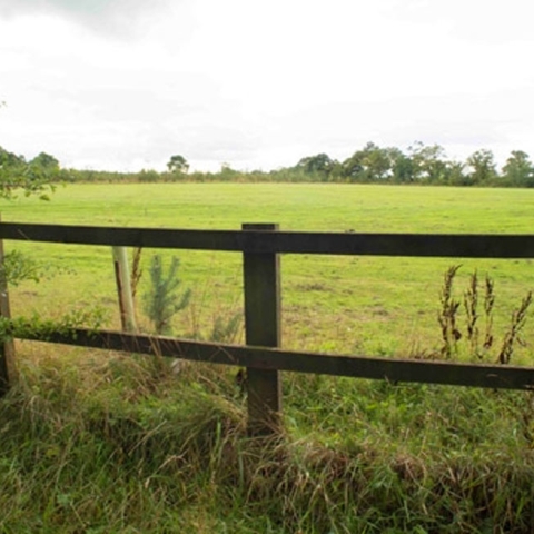Iron Gate Fields