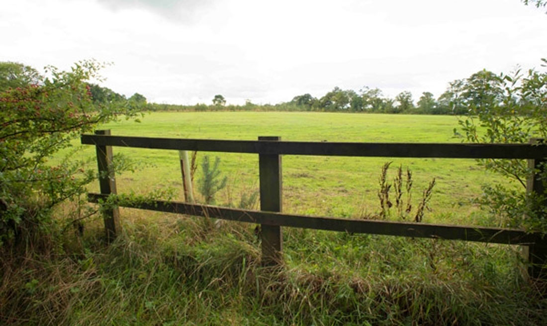 Iron Gate Fields