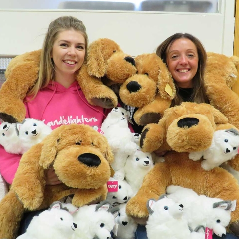 Fundraisers, Jen Aspinall and Gina Trotter, surrounded by cuddly toys looking for new homes