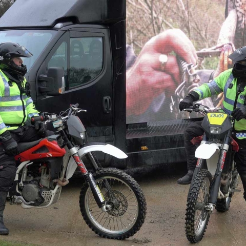 Operation Owl