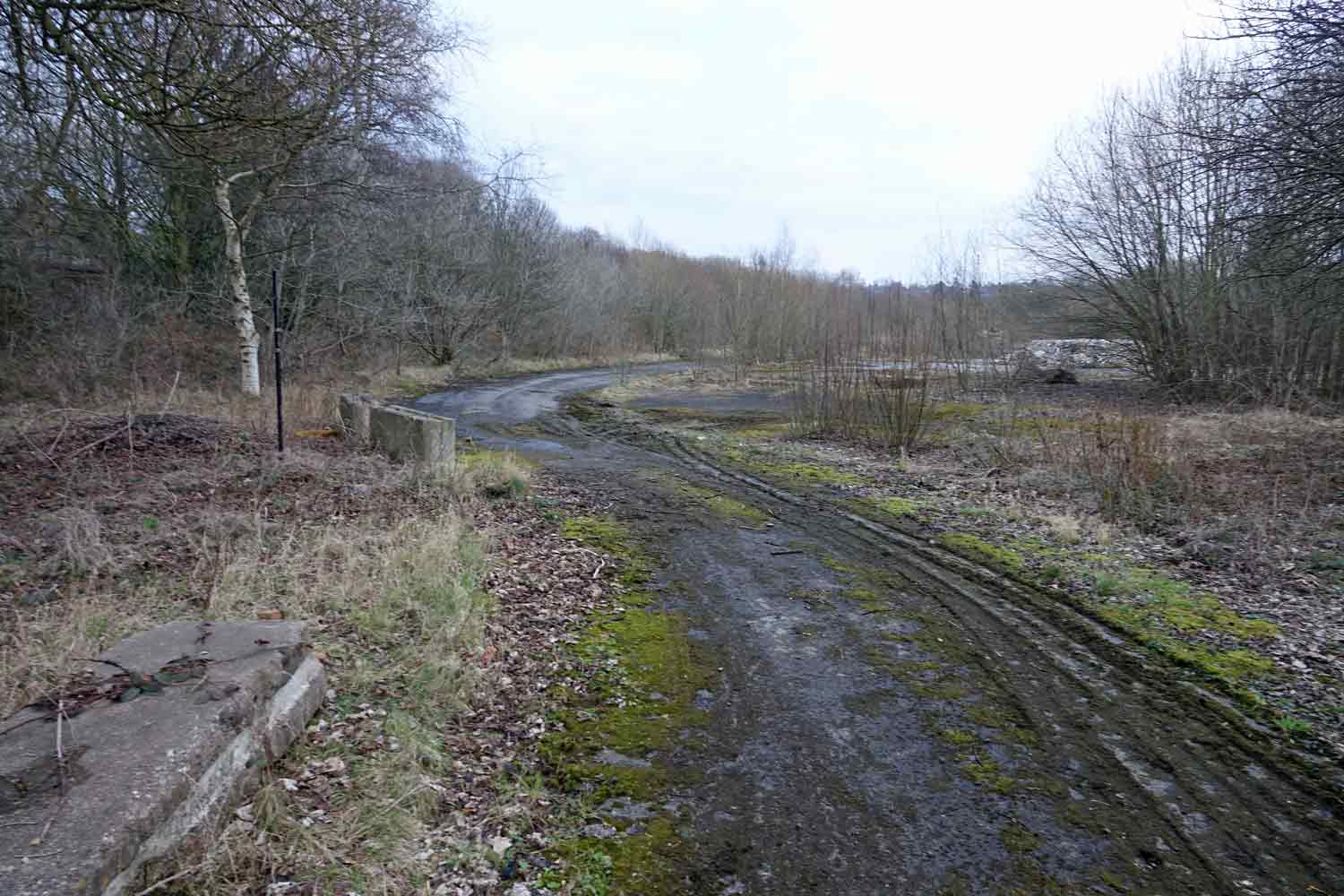 The current site