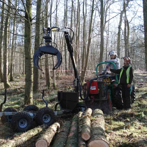 Small scale harvesting in action