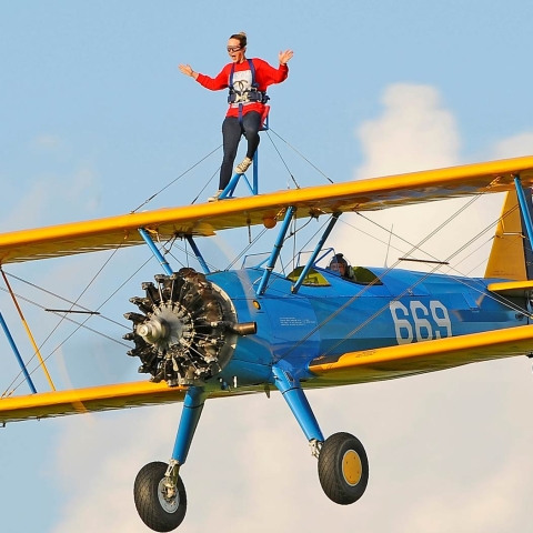 wing walk wetherby