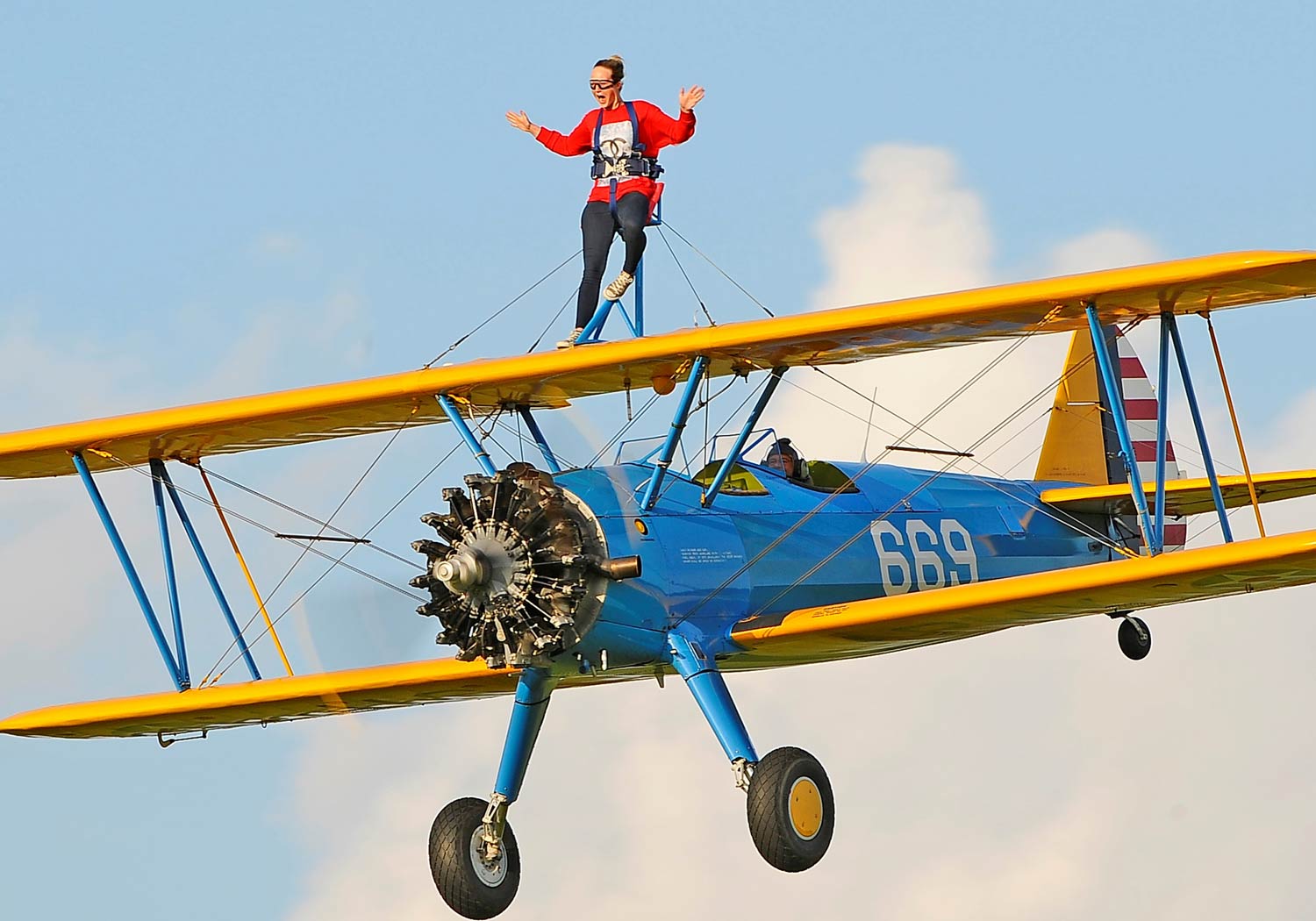 wing walk wetherby