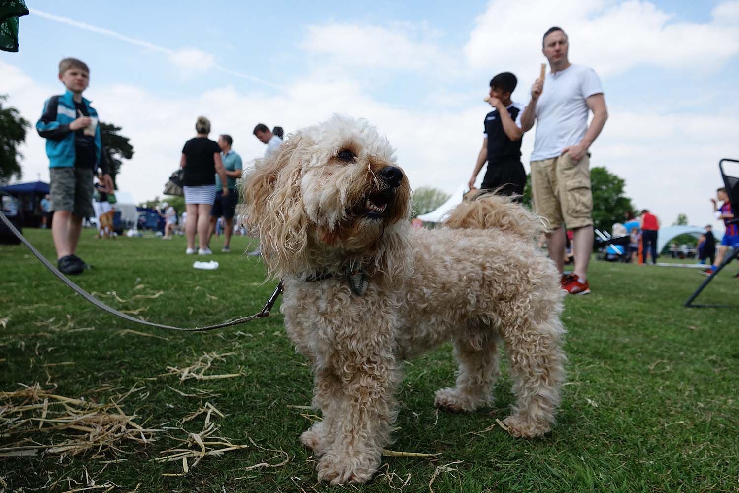 Almsford Community Fun Day in Harrogate 2018