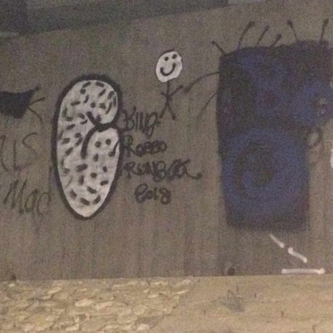 Police appeal to find Boroughbridge graffiti vandals