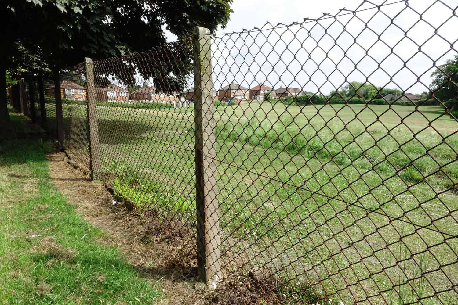 The fence will be replaced and tree-line planted