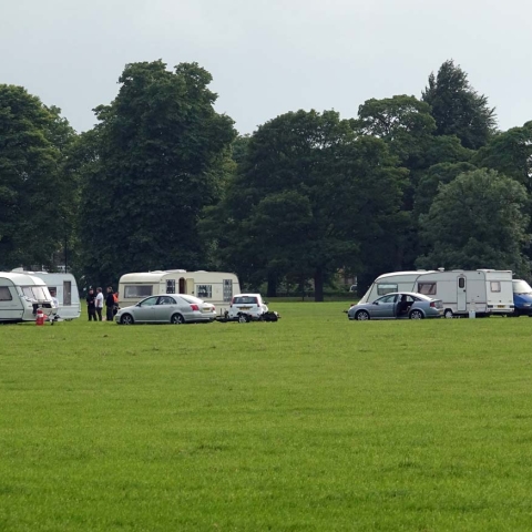 Stray Travellers