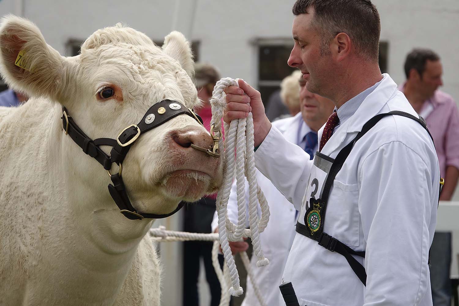 Great Yorkshire Show 2018