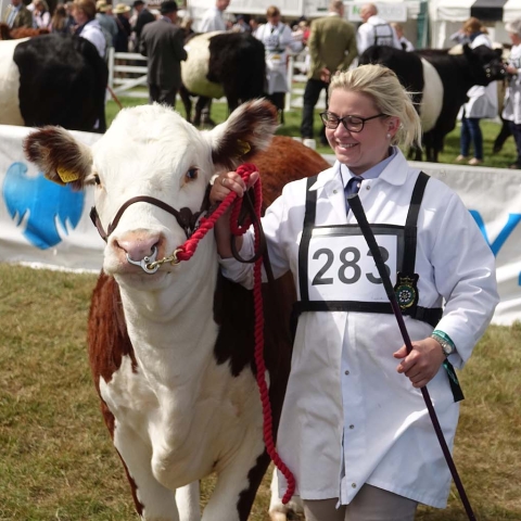 Great Yorkshire Show 2018