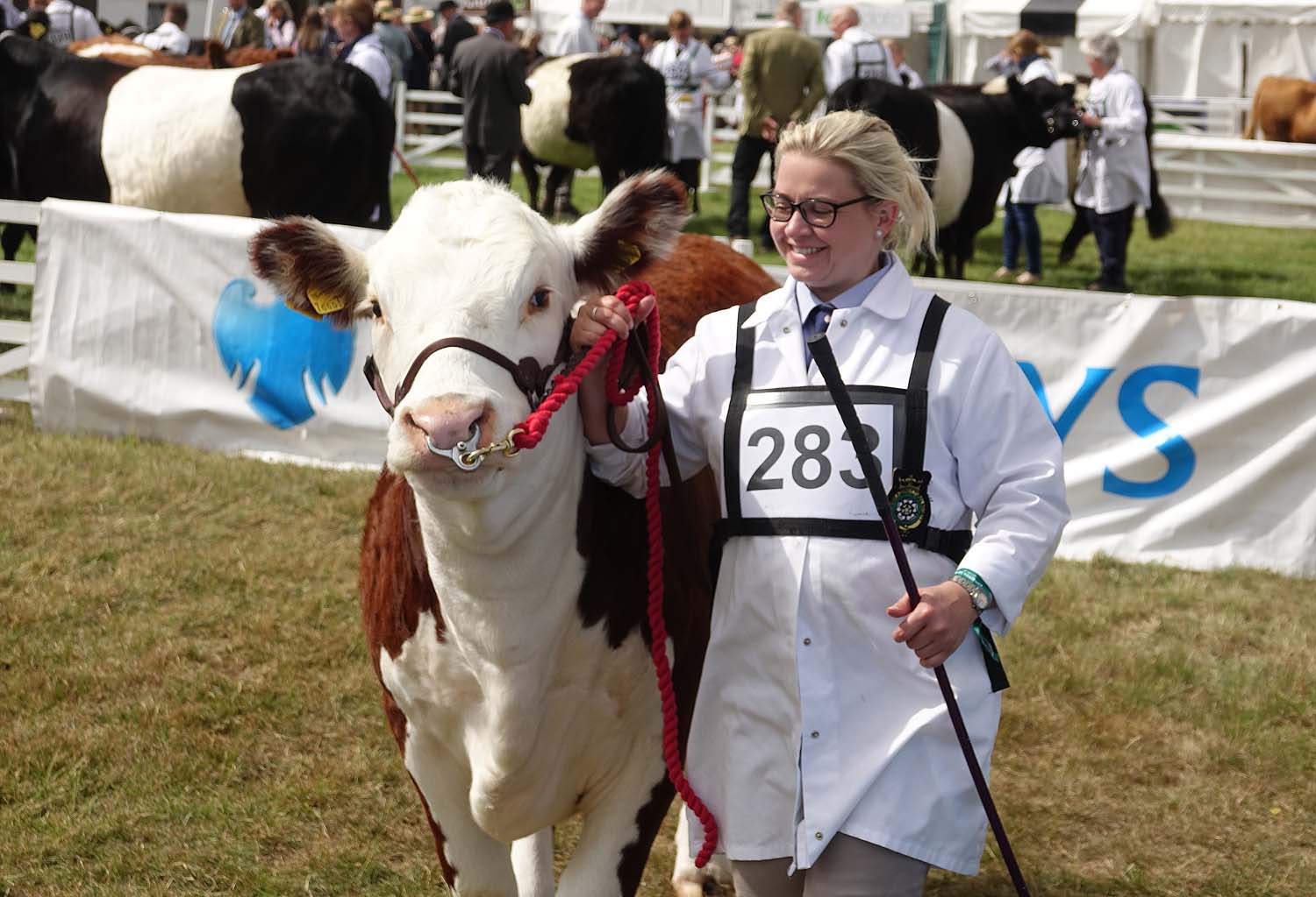 Great Yorkshire Show 2018