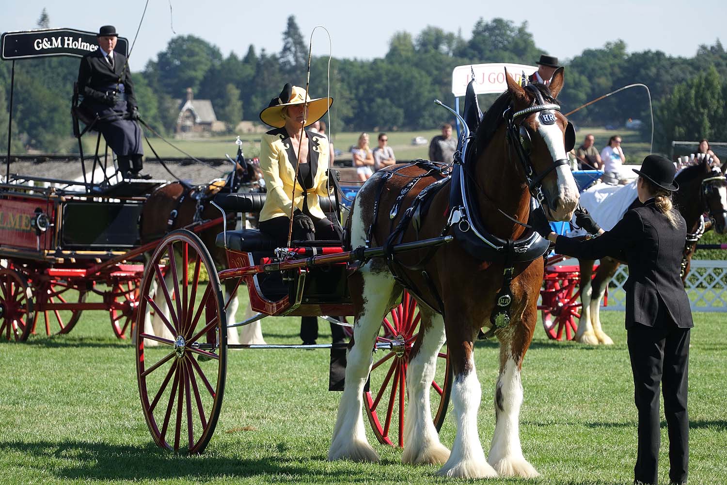 Great Yorkshire Show 2018