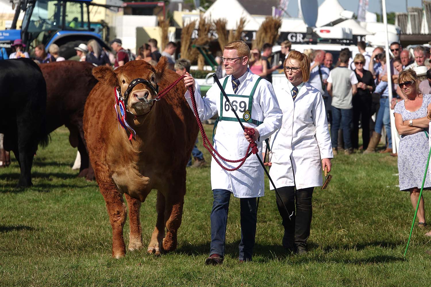 Great Yorkshire Show 2018