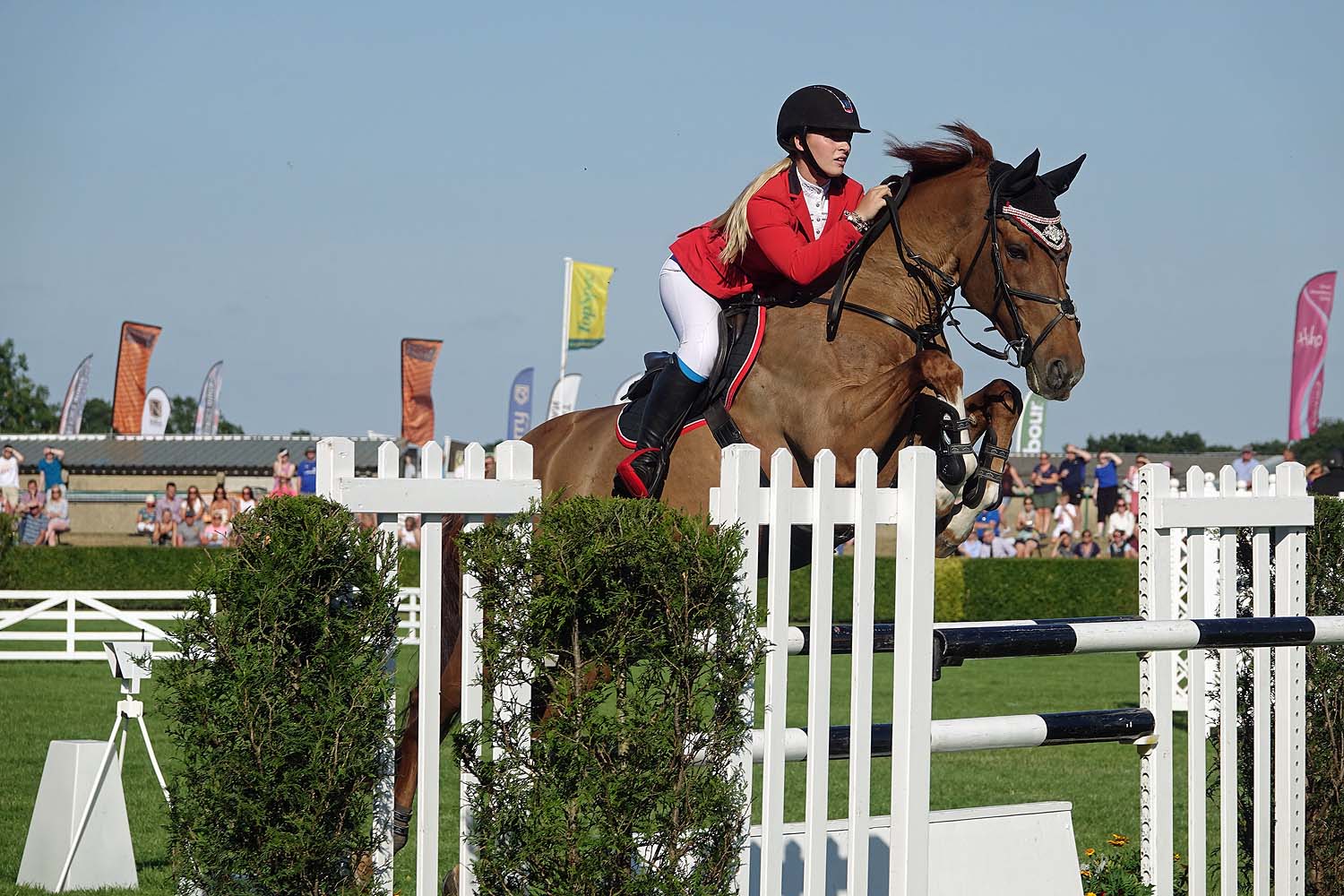 Great Yorkshire Show 2018