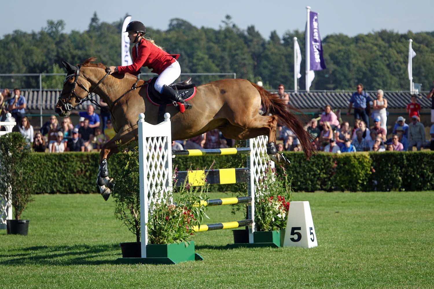 Great Yorkshire Show 2018