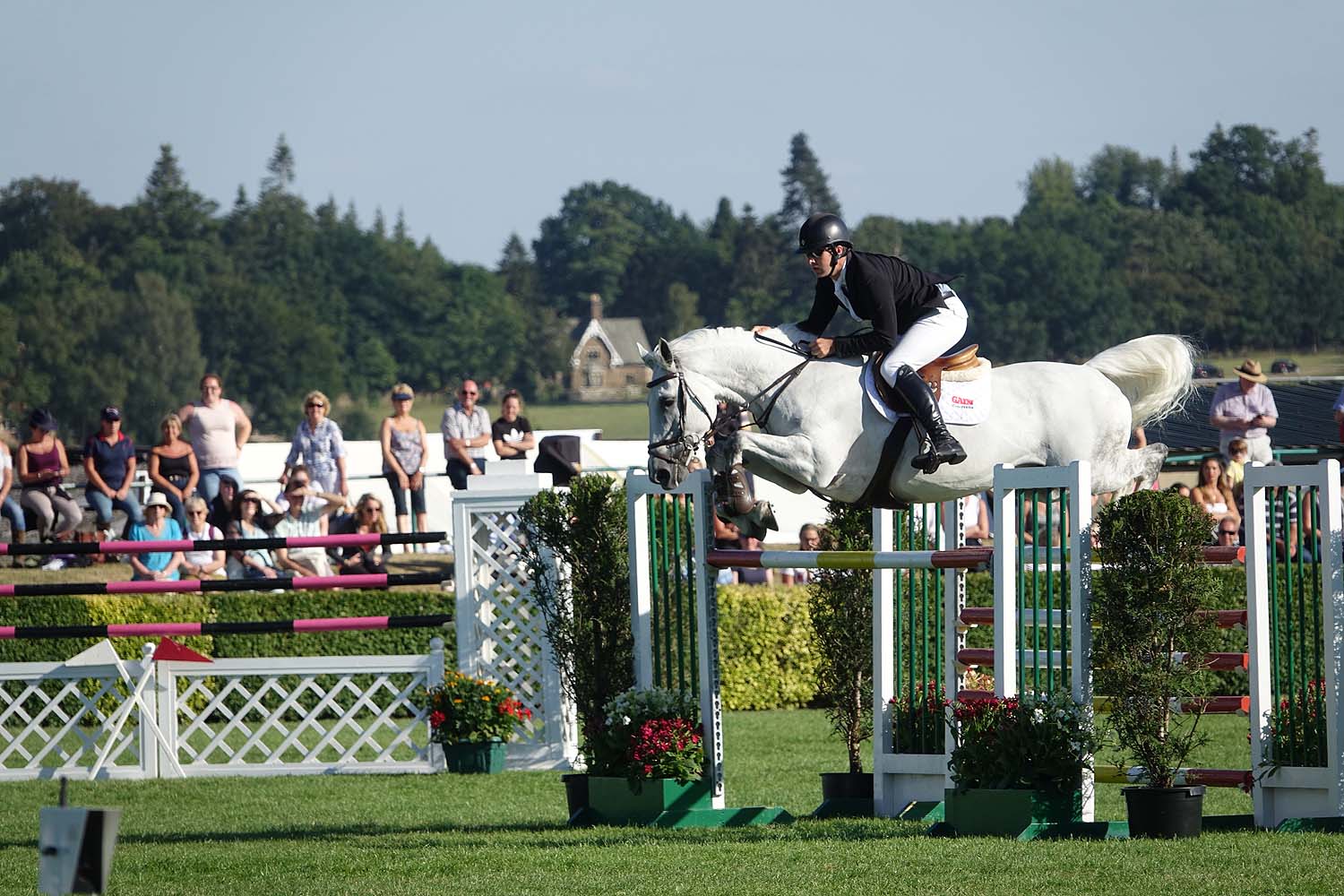 Great Yorkshire Show 2018