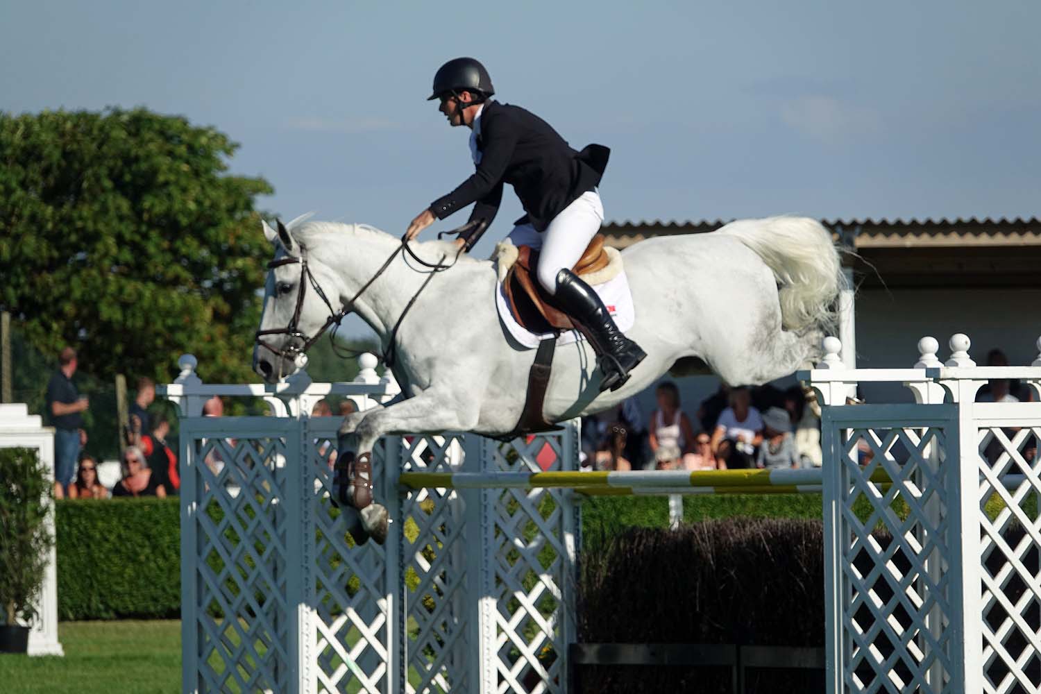 Great Yorkshire Show 2018