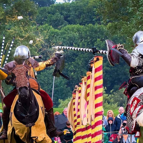 Knights of the North