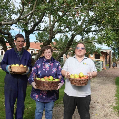 An Apple A Day! Ripon Community Link members preparing for October’s annual Apple Day fundraiser