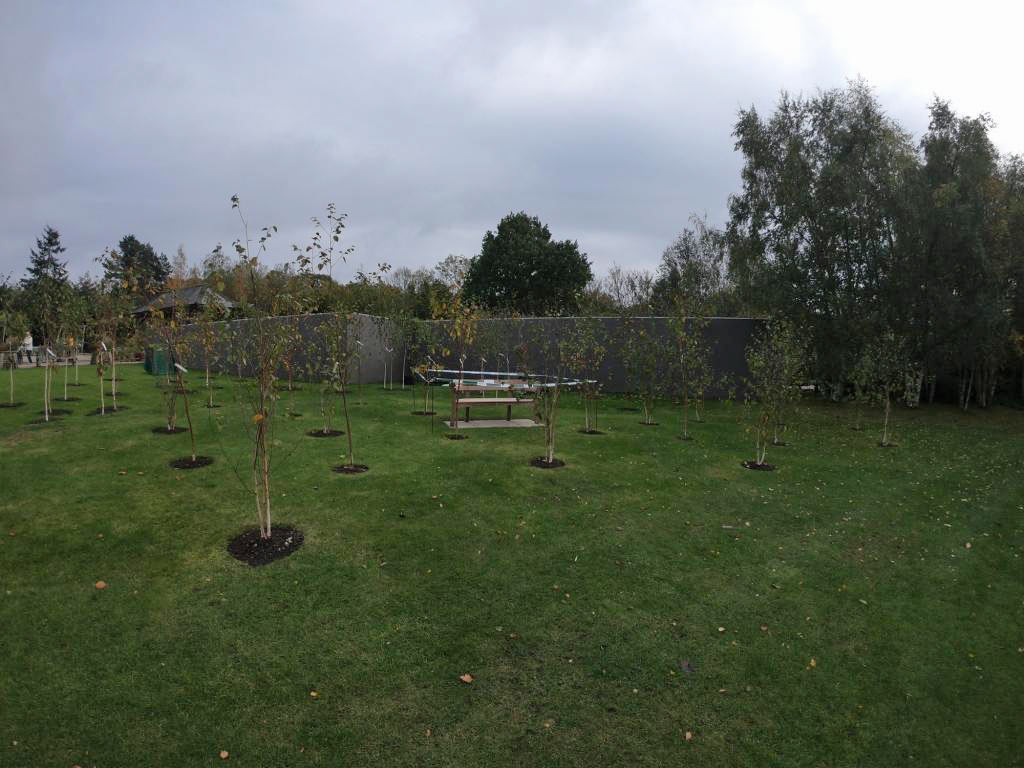 The new bench and trees funded by the Freemasons