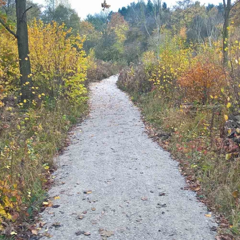 ections of the footpath before and after the improvements