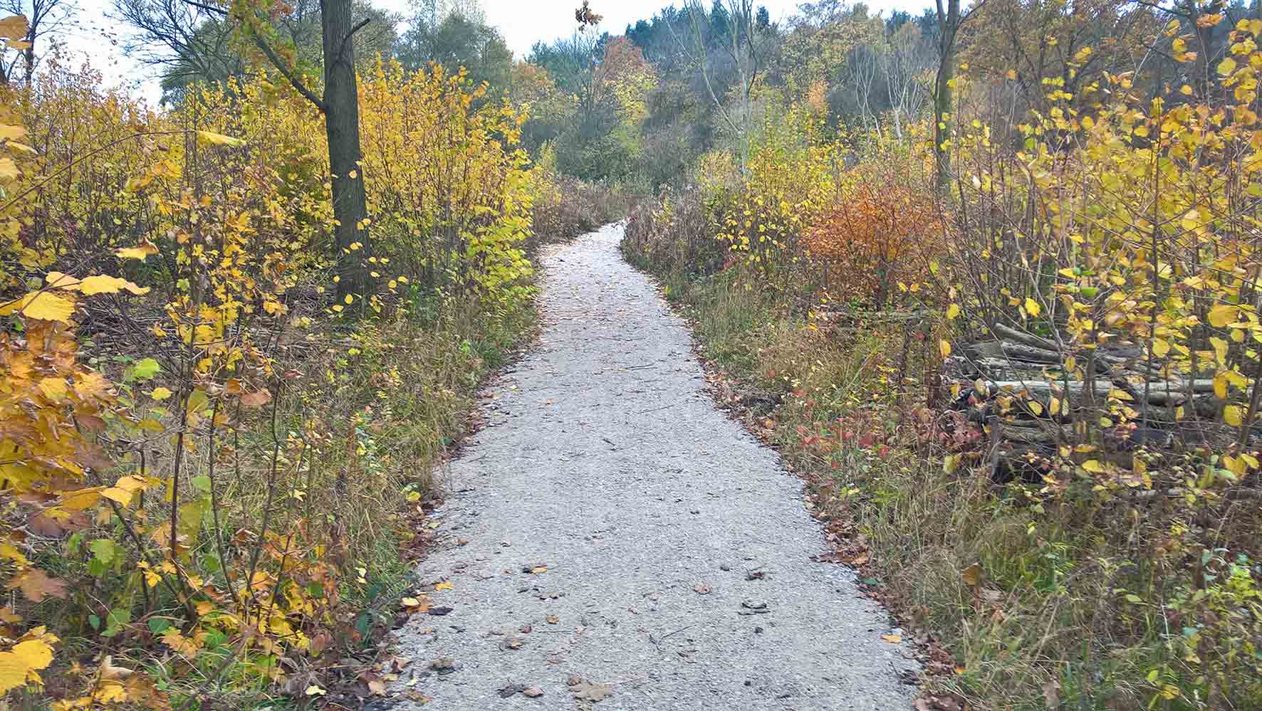 ections of the footpath before and after the improvements