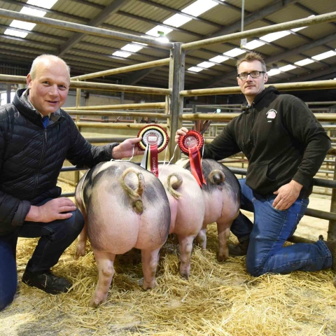 Daniel Thackray, right, with his 2018 Skipton Christmas prime pig champions, joined by record price buyer, Anthony Kitson