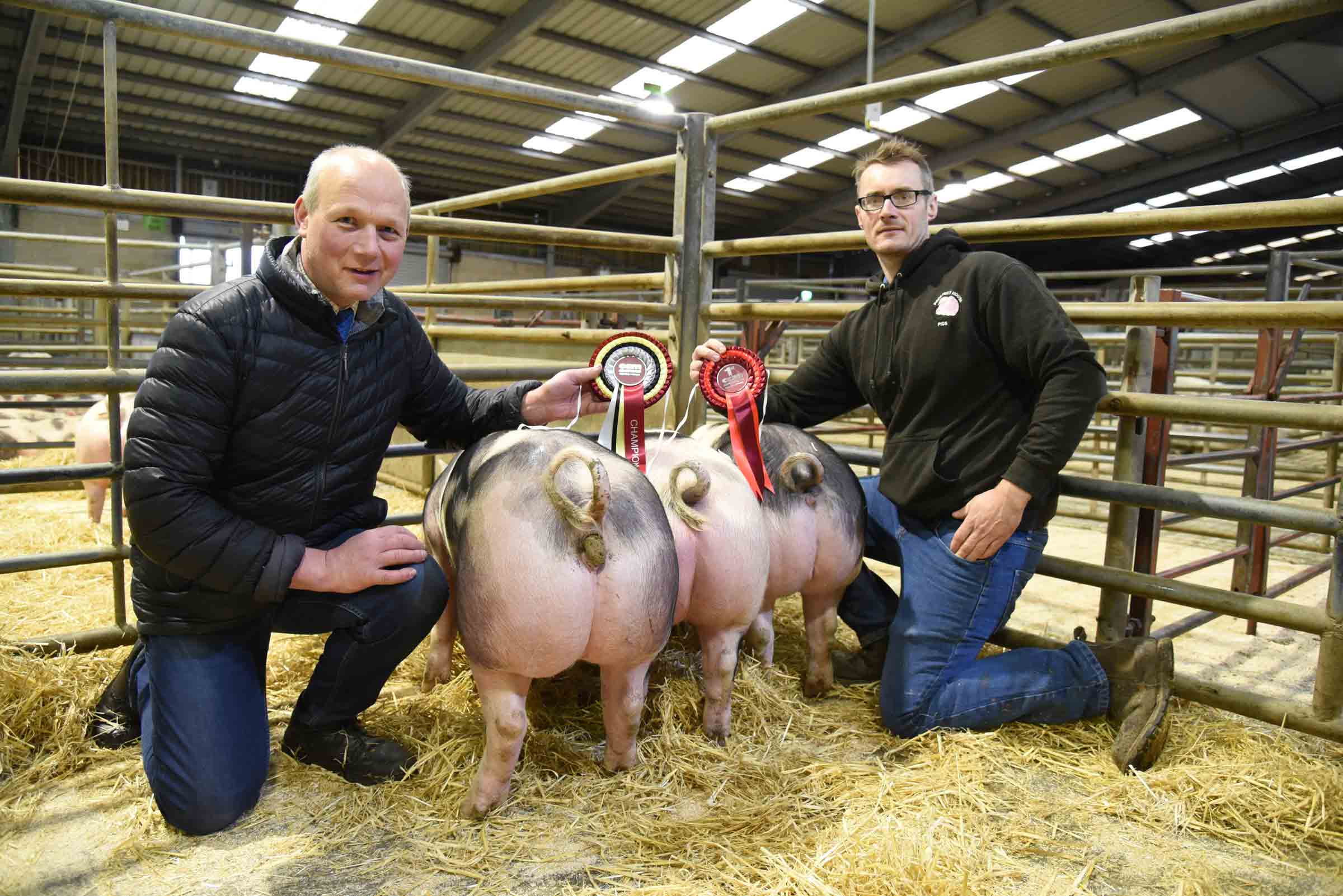 Daniel Thackray, right, with his 2018 Skipton Christmas prime pig champions, joined by record price buyer, Anthony Kitson