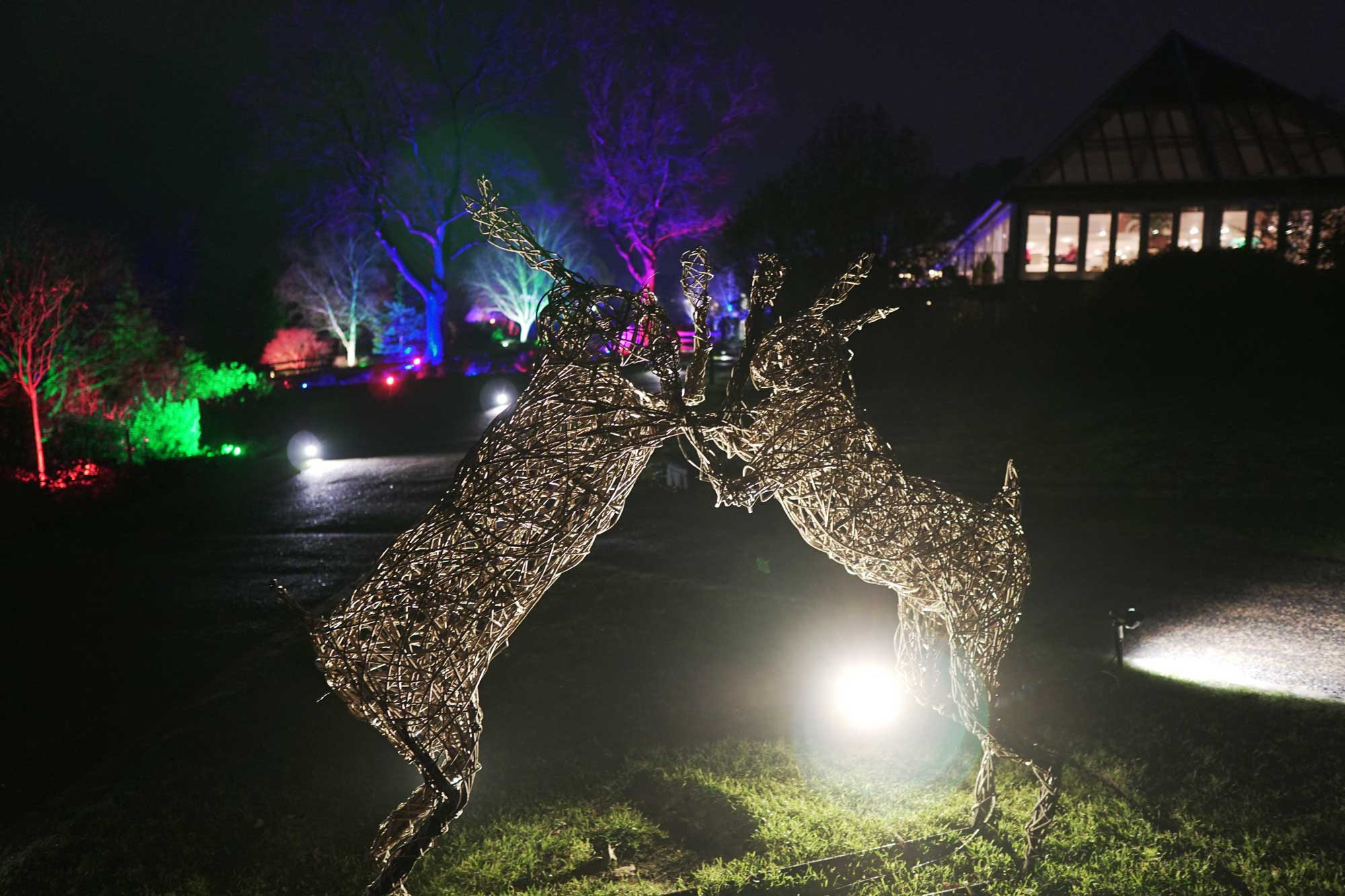 RHS Garden Harlow Carr’s Glow Winter Illuminations 2018