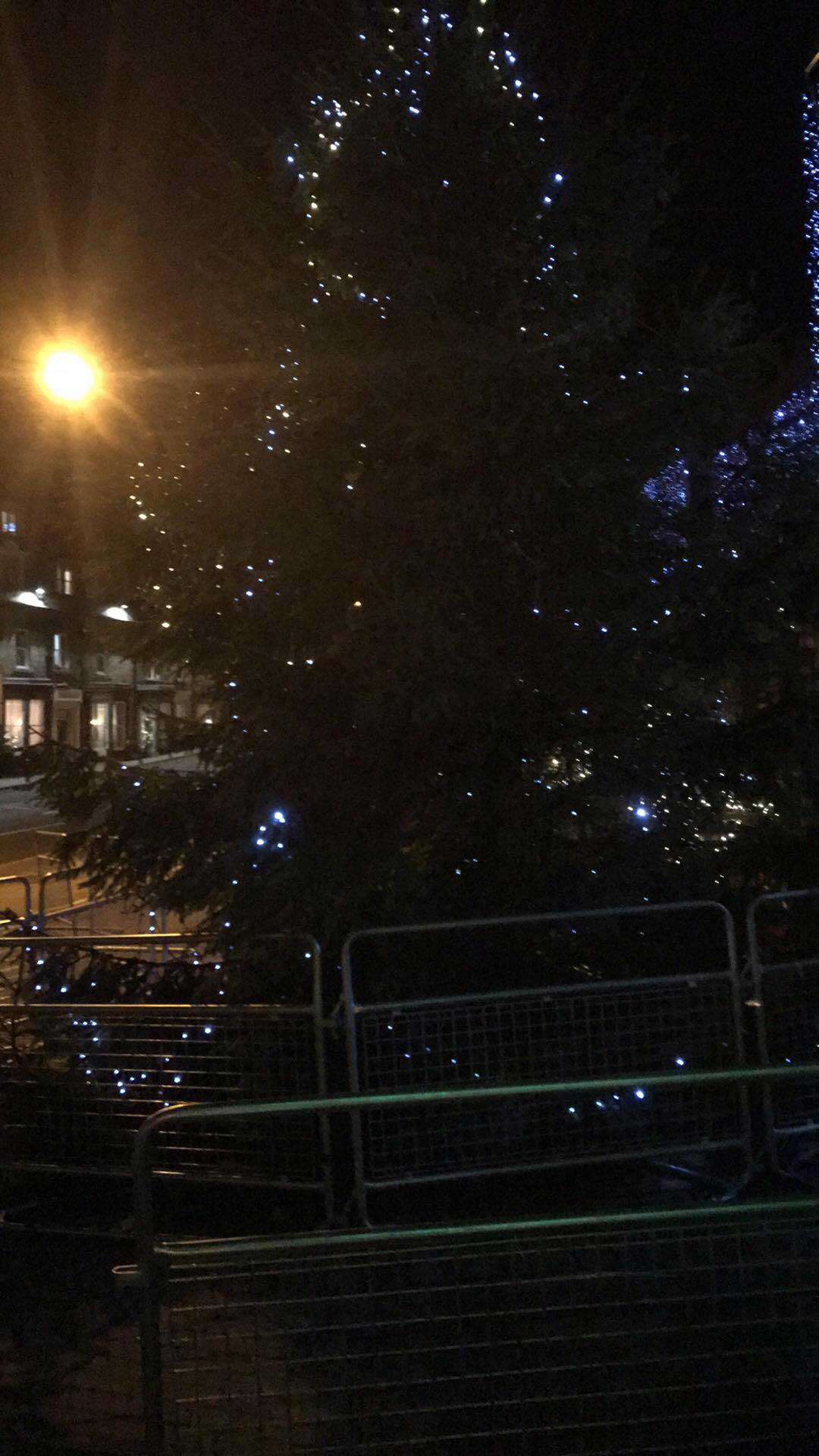Christmas Tree vandalised outside Royal Hall