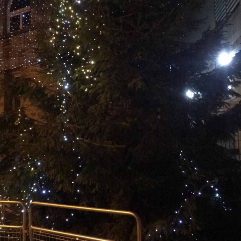 Harrogate Christmas Tree