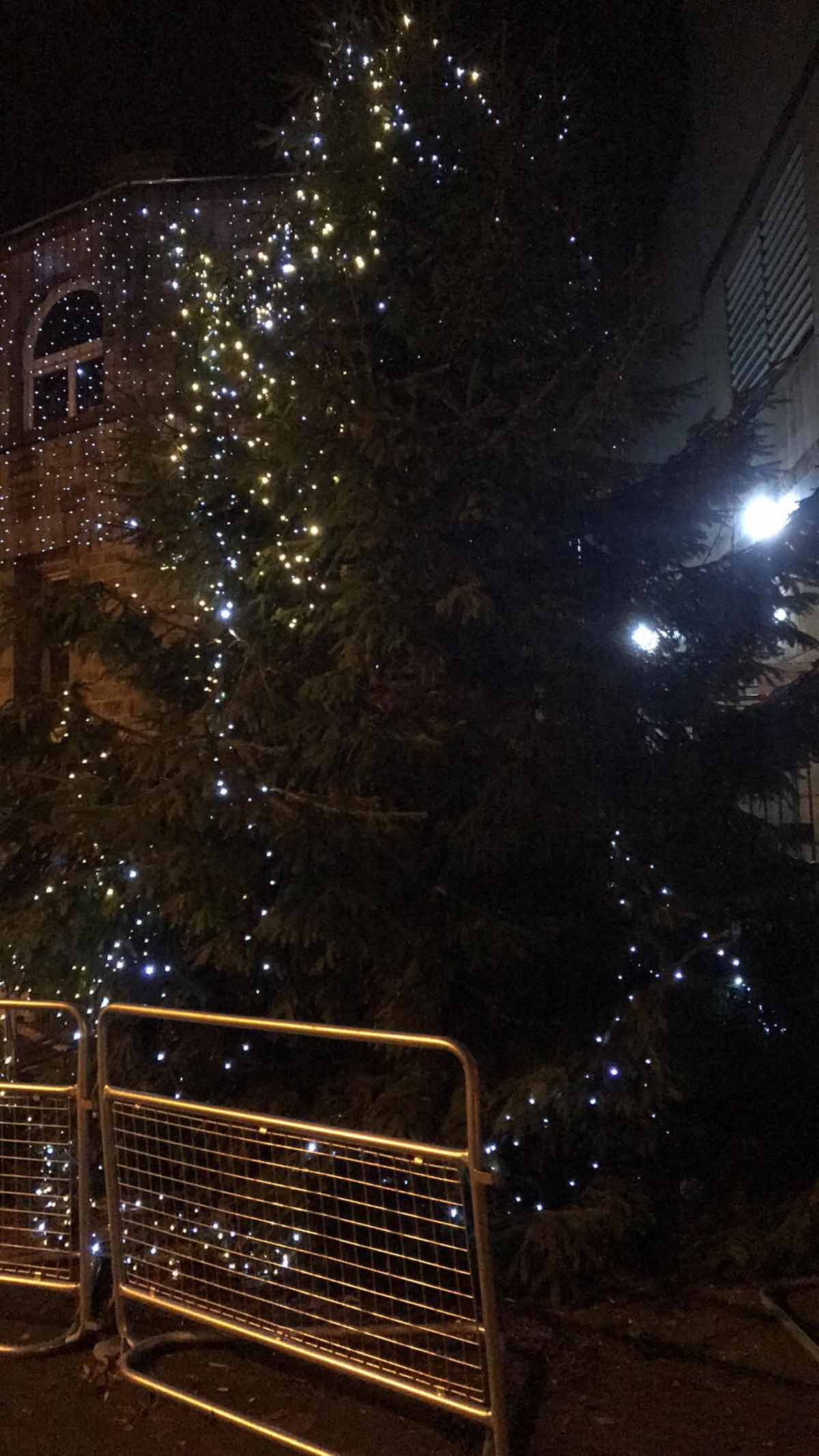 Harrogate Christmas Tree