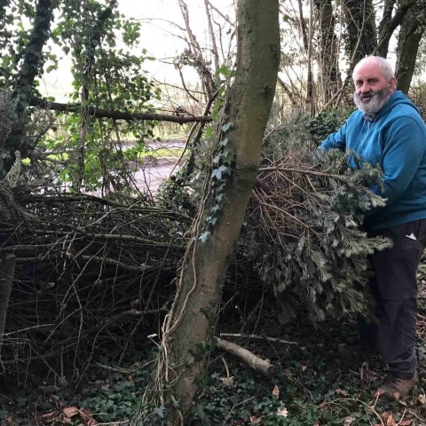Branching Out! Ripon Community Link member Adrian Kitching making fences with old Christmas trees at Ripon Walled Garden