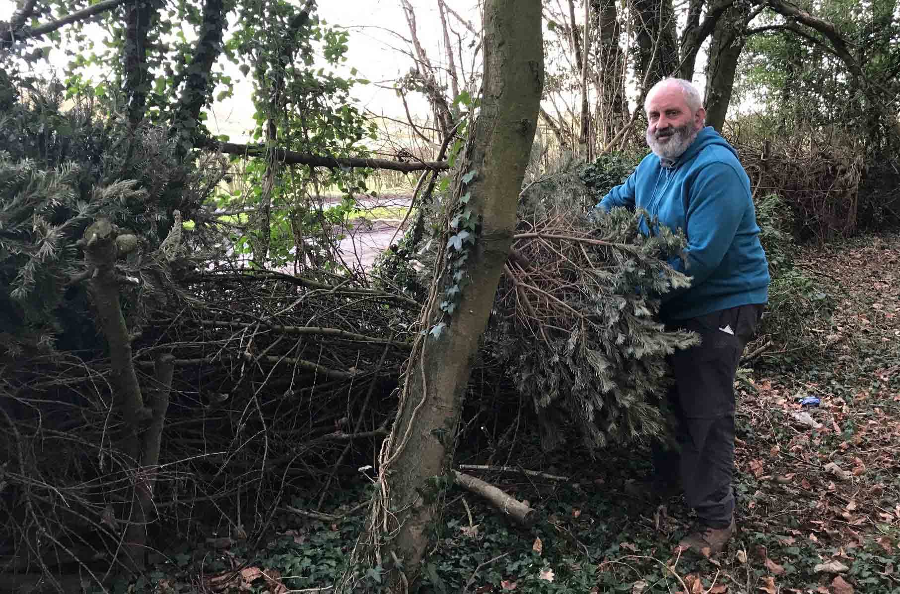 Branching Out! Ripon Community Link member Adrian Kitching making fences with old Christmas trees at Ripon Walled Garden