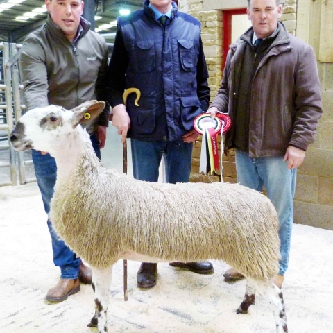 (L-R) James Wilson, judge and buyer Joe Throup, and Kevin Wilson, with the champion Blue Faced Leicester gimmer hogg