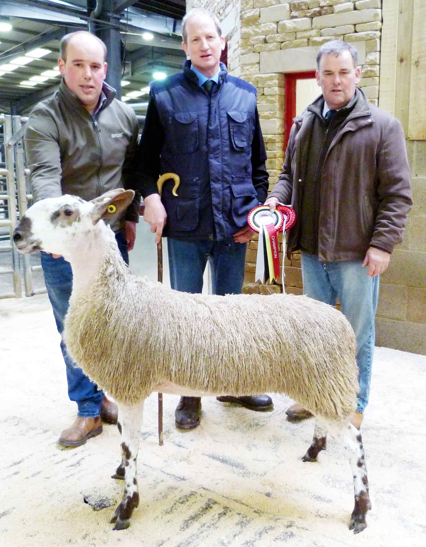 (L-R) James Wilson, judge and buyer Joe Throup, and Kevin Wilson, with the champion Blue Faced Leicester gimmer hogg
