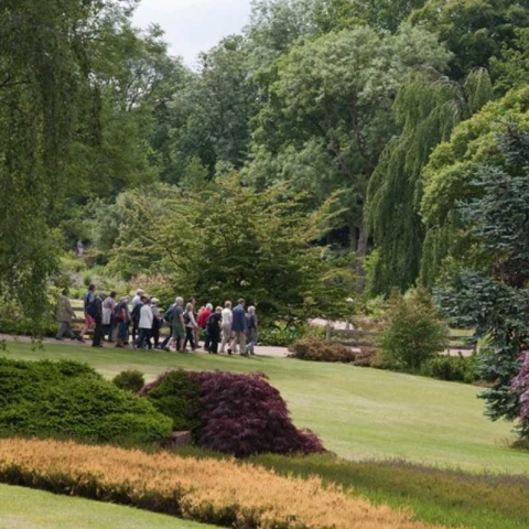 Harlow Carr