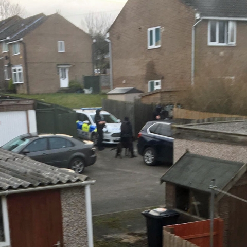 warrants