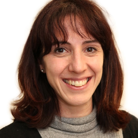 Dr Sara Imarisio, Head of Research at Alzheimer’s Research UK