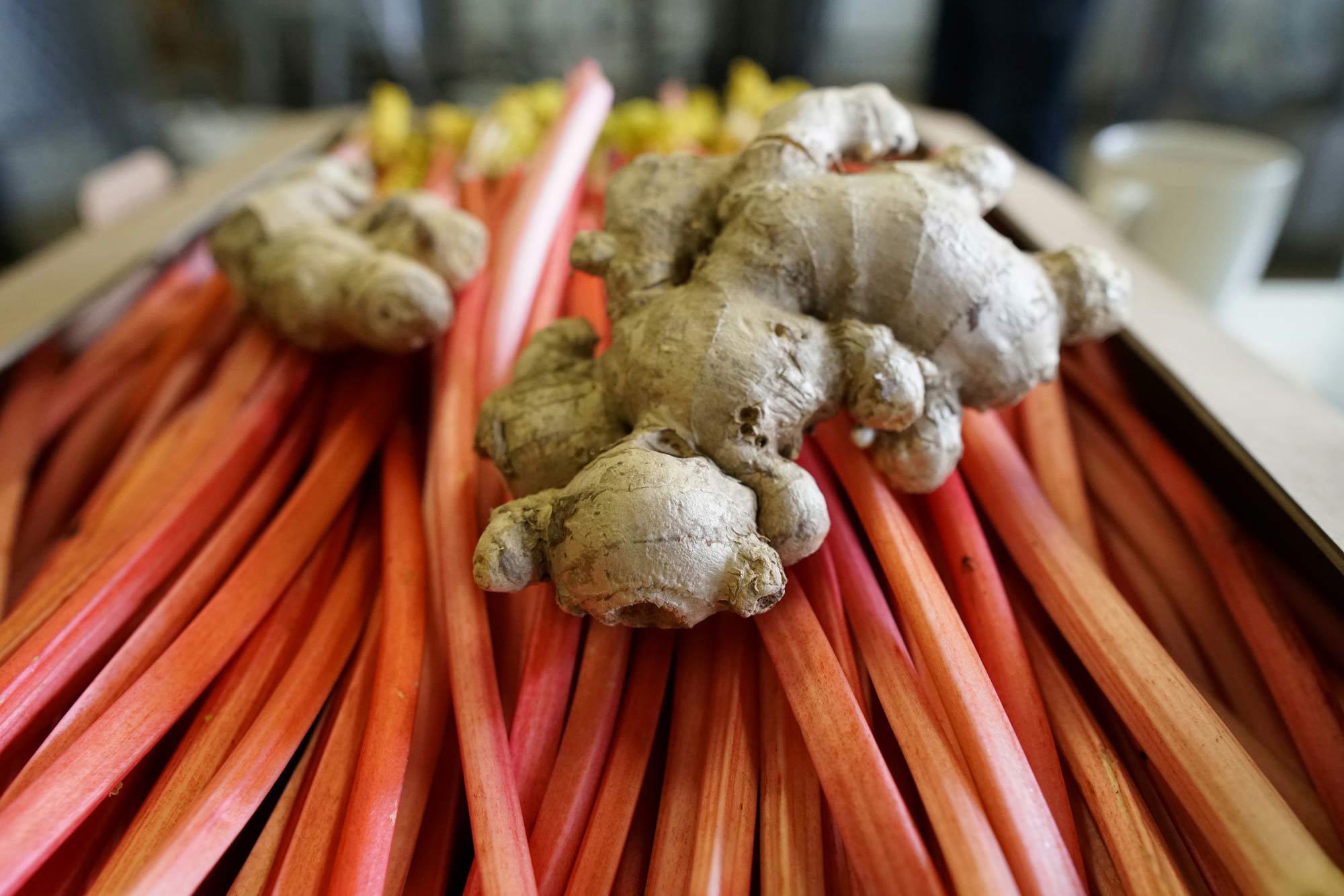The rhubarb and ginger that will flavour the beer