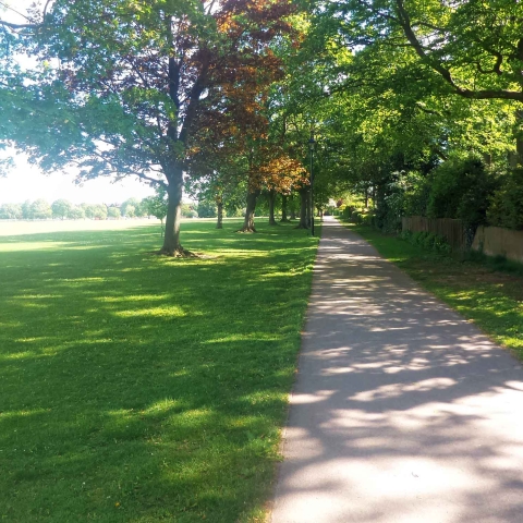 Harrogate Stray
