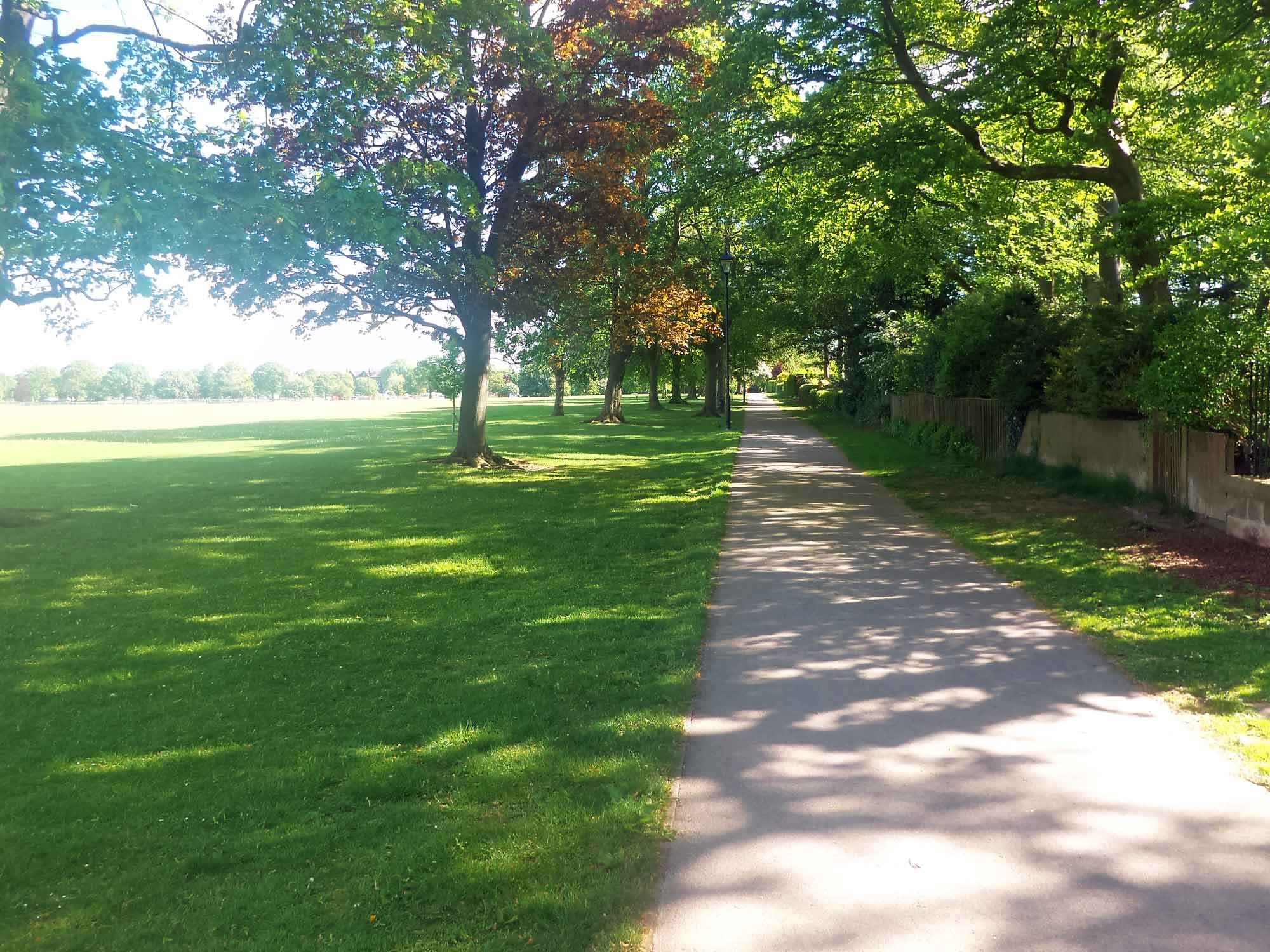 Harrogate Stray