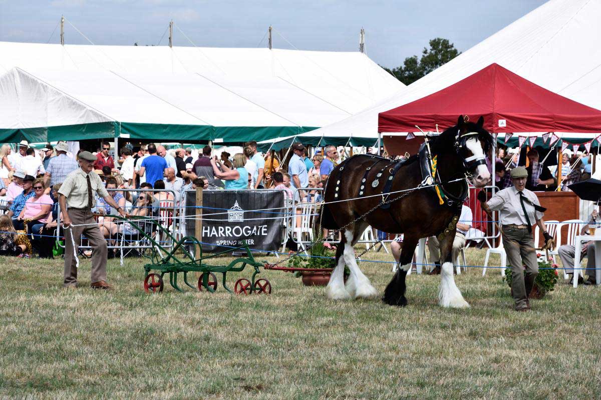 Last year’s Tockwith Show