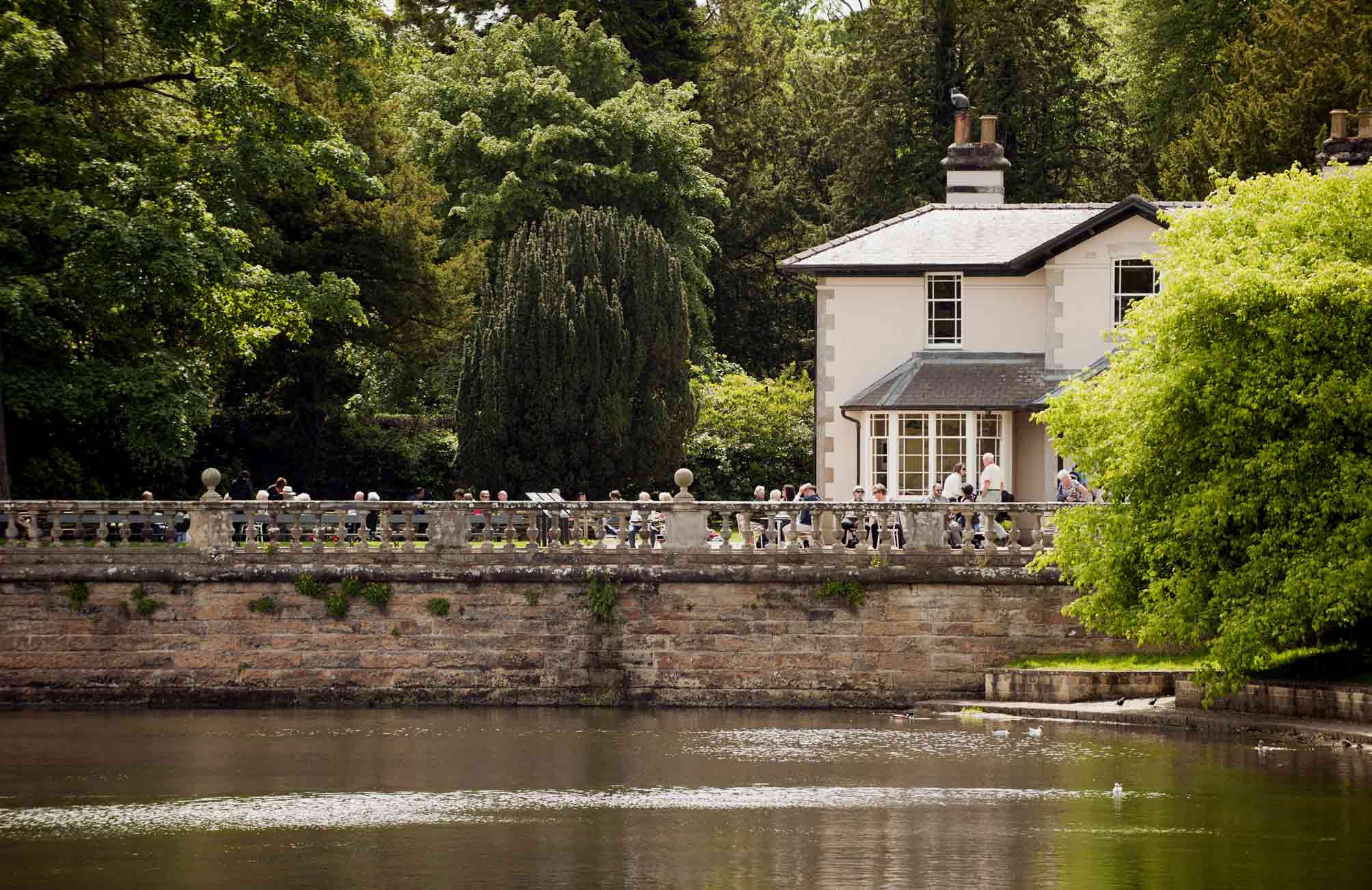 Studley tea room