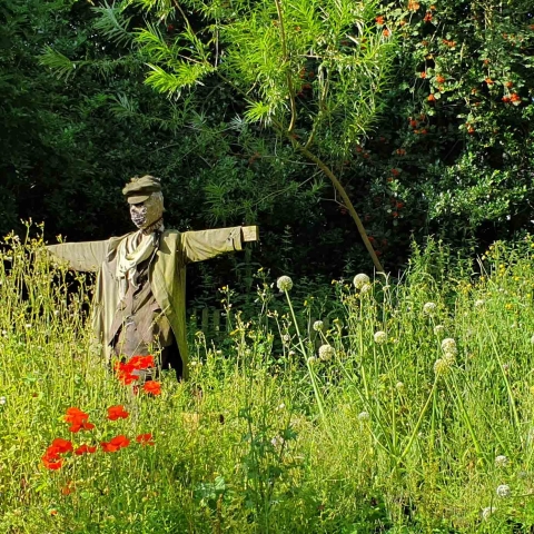 Tower Gardens, Harrogate