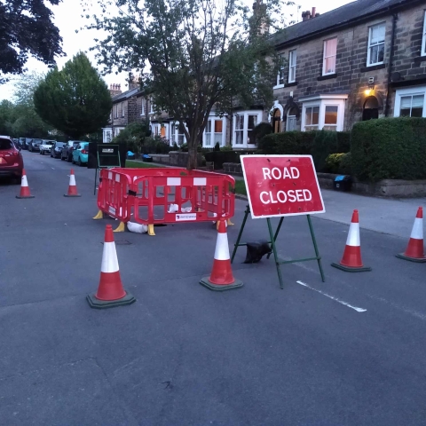 west end avenue harrogate hole