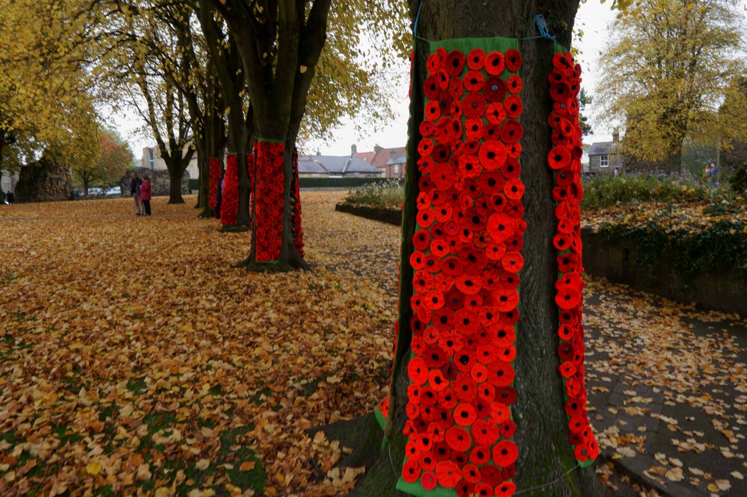 Knaresborough for Remembrance