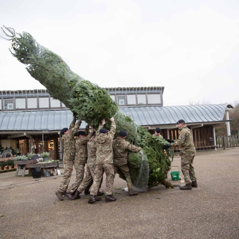 Christmas at Fountains Abbey and Studley Royal